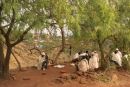 Ethioptrek (735) (Small)